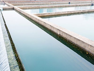 超磁分離 超磁分離